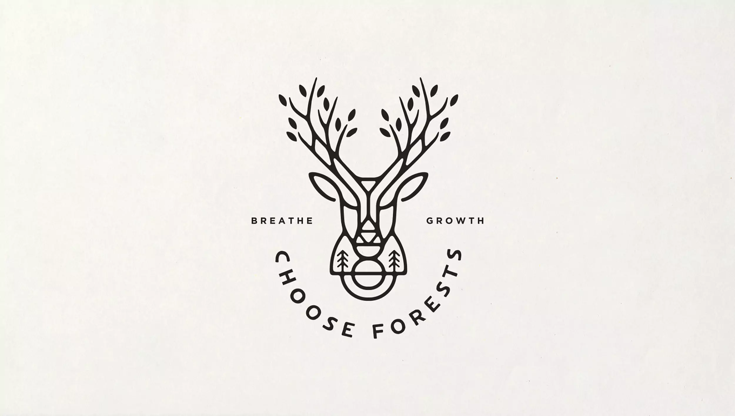 extra16-67739f6d4b404